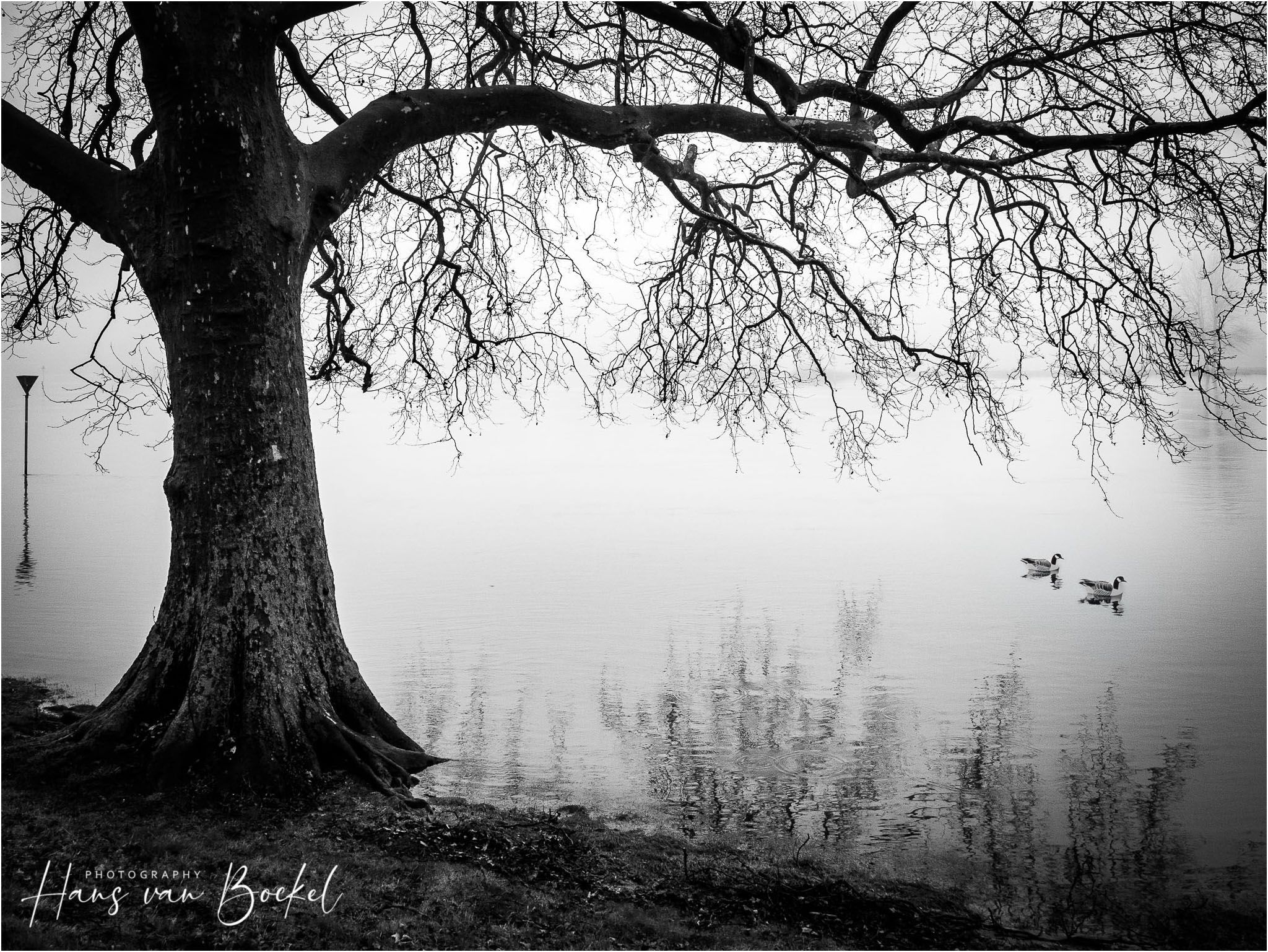 Deventer, image 28 of 104
