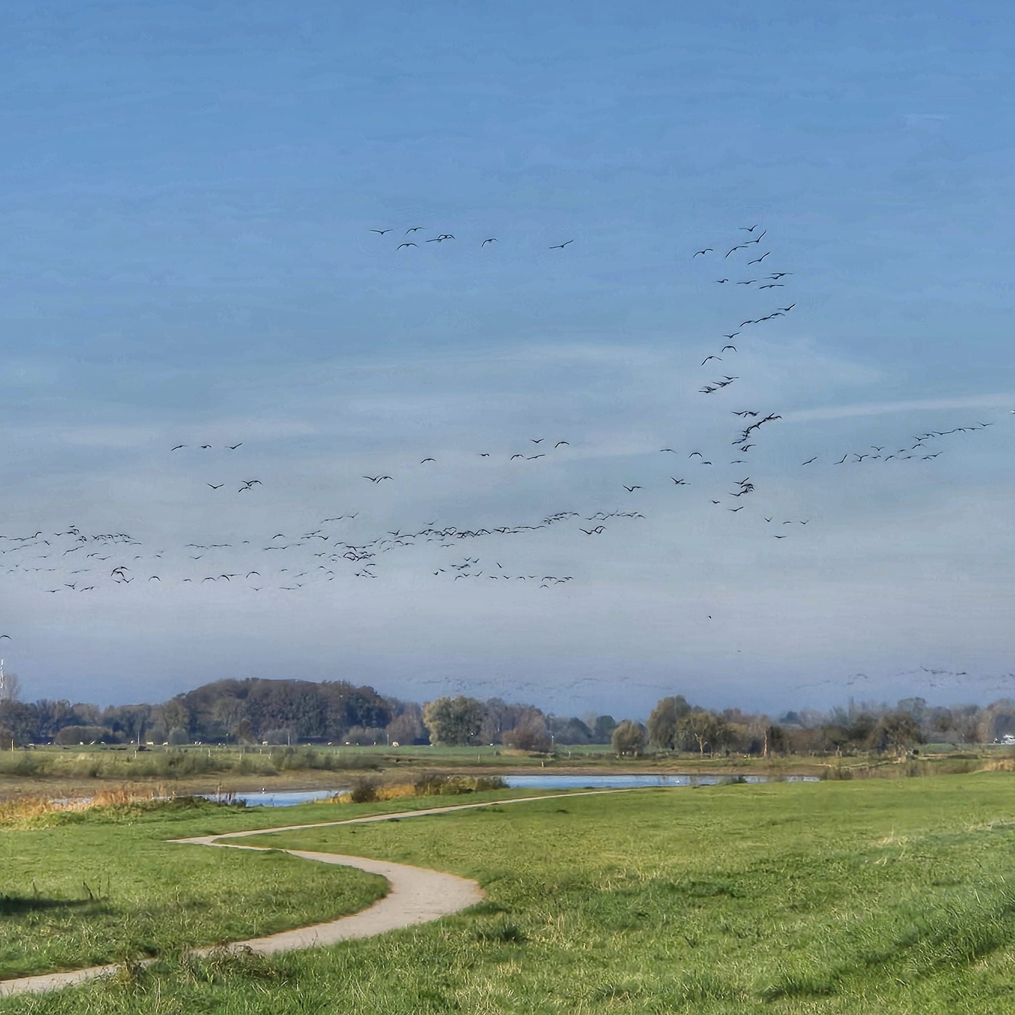 Deventer, image 6 of 104