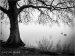 Thumbnail for image 28 of 104