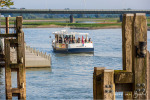Thumbnail for image 35 of 104